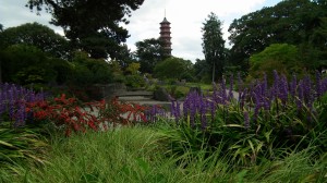 Kew Gardens Japanese Garden & Pagoda 